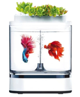 Превью-изображение №1 для товара «Аква-ферма  Xiaomi Geometry Mini Lazy Fish Tank Pro»